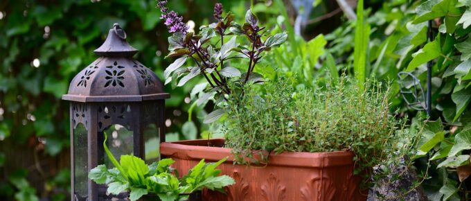 Container Gardening – A Farm Alternative or A Waste of Time?