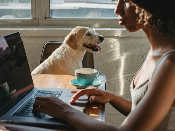 featured image - Home Safety Guide for Pet Owners