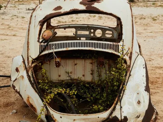 featured image - How Can Junk Removal Service Help You De-Clutter Your Home