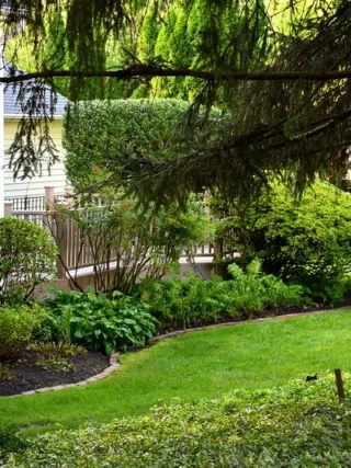featured image - Residential Landscaping Company Dickinson, TX