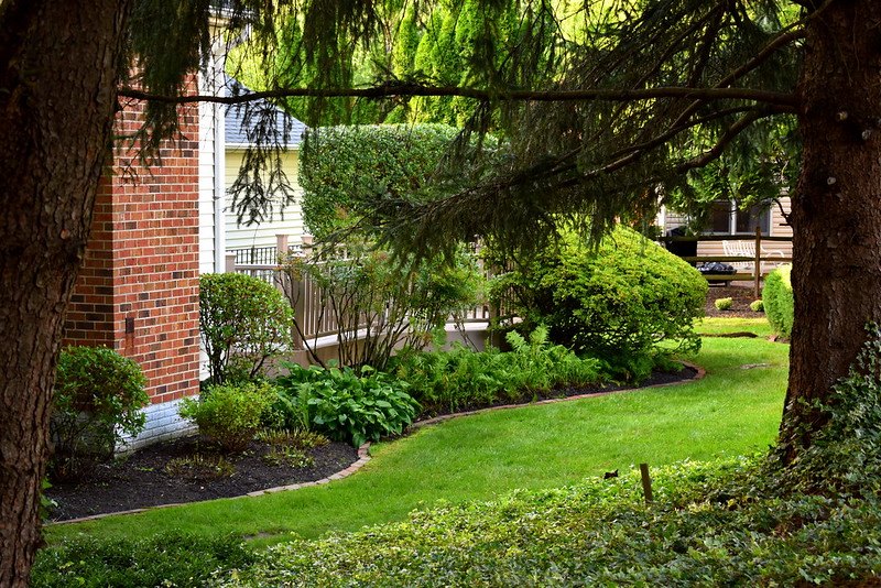 Residential Landscaping Company Dickinson, TX image - Residential Landscaping Company Dickinson, TX