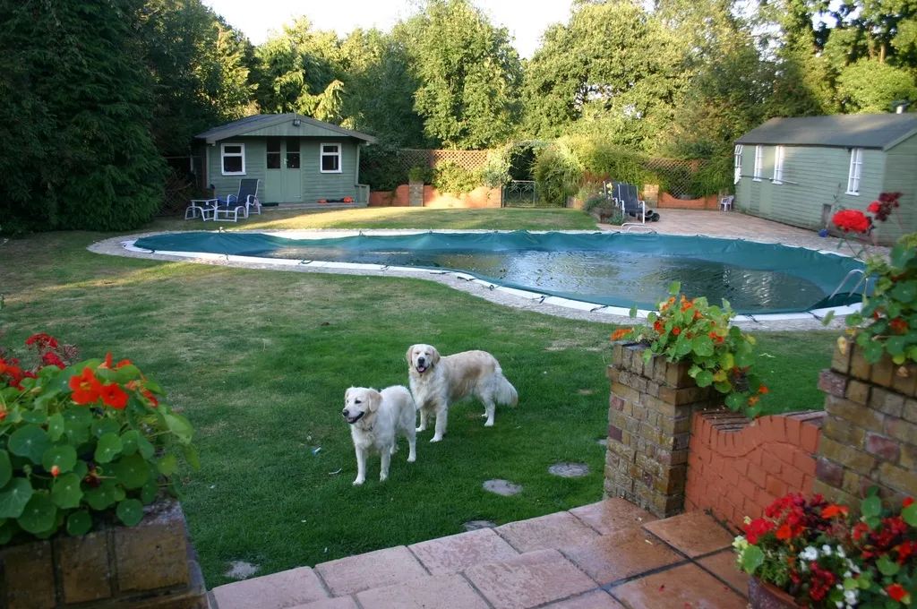 featured image - Seven Tips for Creating a Pet-Friendly Garden
