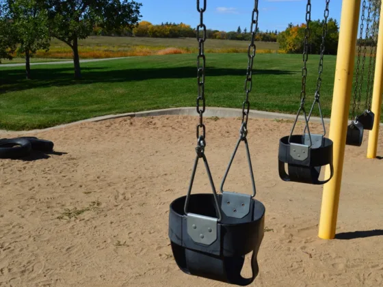 featured image - The Best Material to Use Under a Swingset