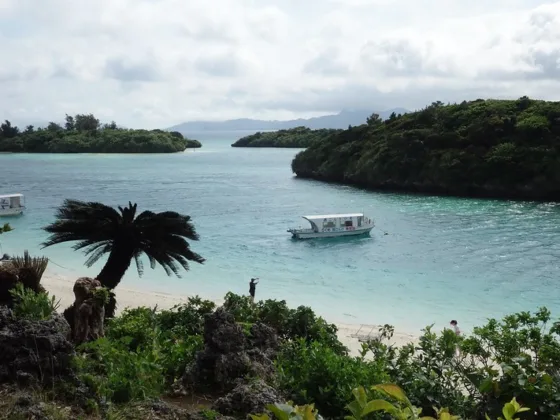 featured image - 5 Things to Consider Before Buying a Land on An Island