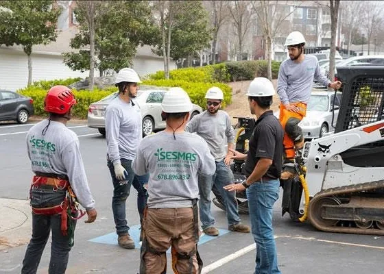 featured image - 6 Benefits of Planting Trees in Your Yard