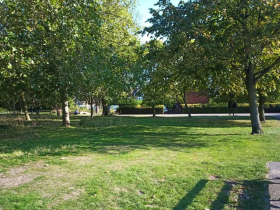 featured image - How Do You Make a Forest Landscape