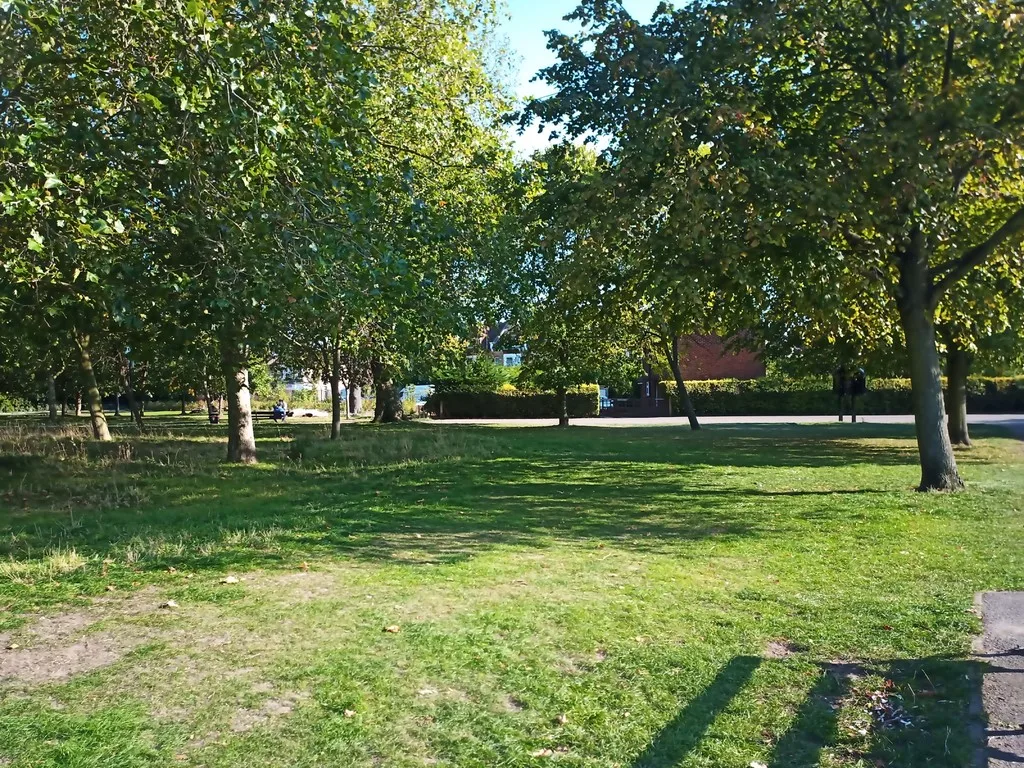 featured image - How Do You Make a Forest Landscape