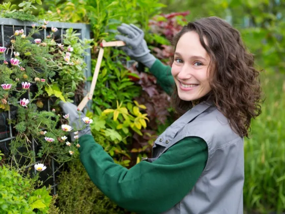 featured image - How to Choose a Landscaping Company: The Complete Guide for Homeowners