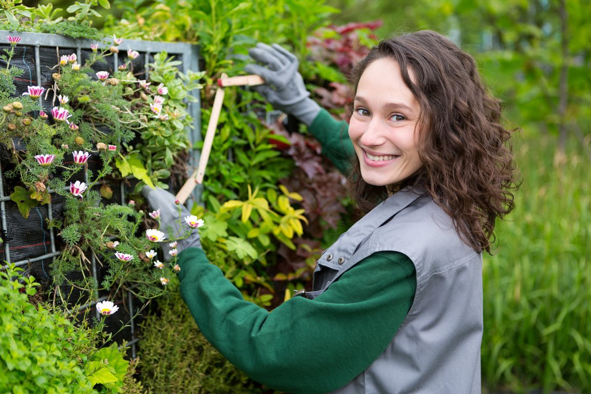 How to Choose a Landscaping Company: The Complete Guide for Homeowners image - How to Choose a Landscaping Company: The Complete Guide for Homeowners