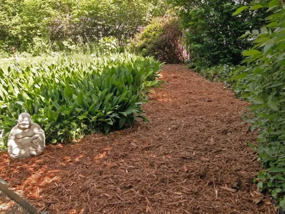 featured image - How to Spread Mulch Like a Professional?