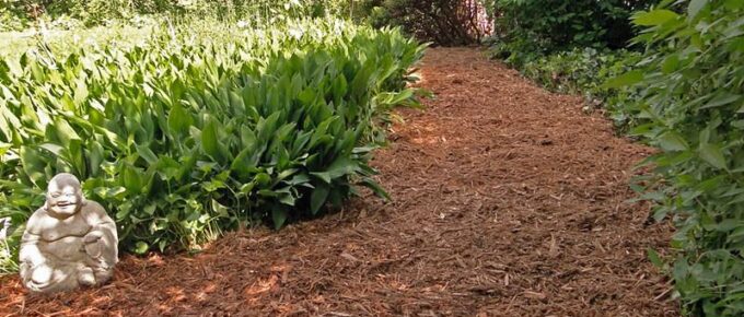 How to Spread Mulch Like a Professional?