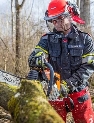 featured image - Questions to Ask Before Hiring a Tree Service