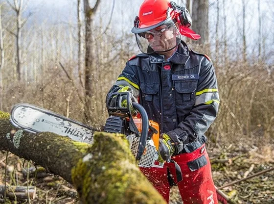 featured image - Questions to Ask Before Hiring a Tree Service