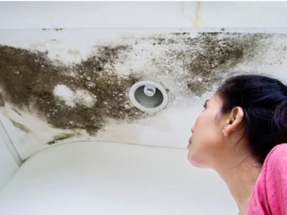 featured image - What Water Damage Does to Your Home