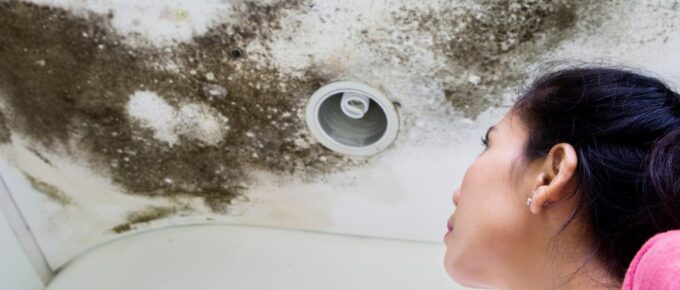 What Water Damage Does to Your Home