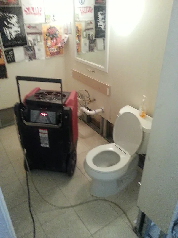 featured image - What are the Most Common Plumbing Problems