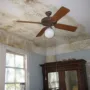 featured image - 4 Easy Ways to Prevent Mold in Your Home