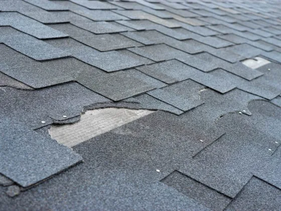 featured image - 5 Common Problems with An Asphalt Shingle Roof