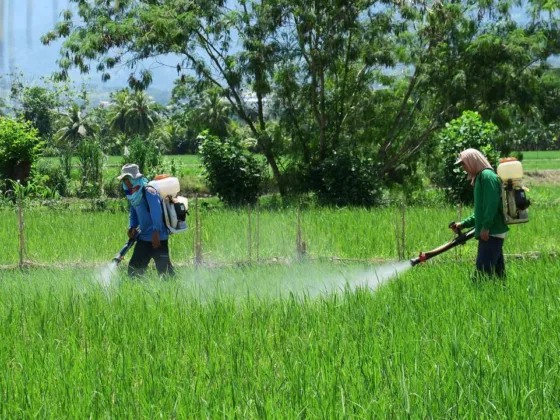 featured image - Different Types of Pesticides