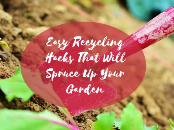 featured image - Easy Recycling Hacks That Will Spruce Up Your Garden