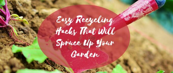 Easy Recycling Hacks That Will Spruce Up Your Garden