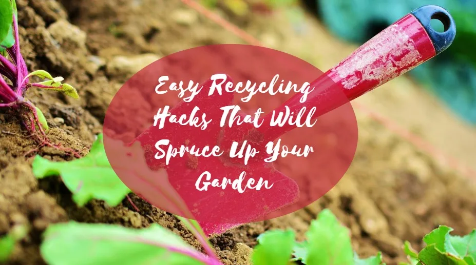 featured image - Easy Recycling Hacks That Will Spruce Up Your Garden