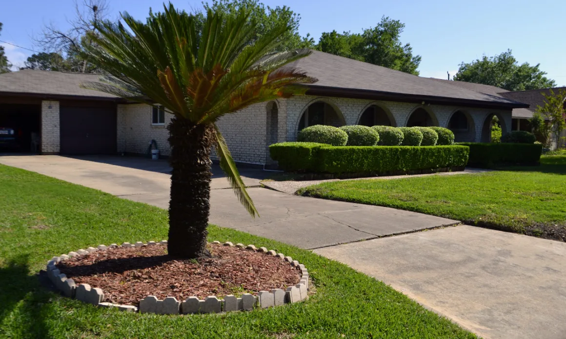 featured image - How Do I Take Care of My Landscaping