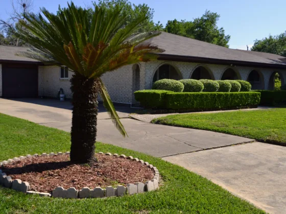 featured image - How Do I Take Care of My Landscaping