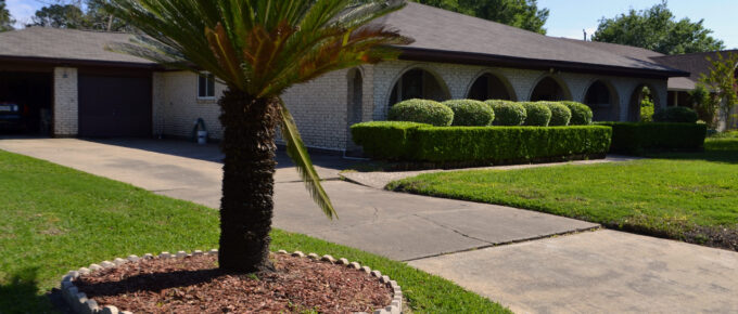 How Do I Take Care of My Landscaping?