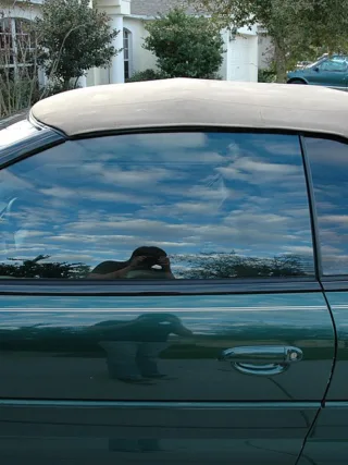 featured image - How Much Does Window Tinting Cost All Around