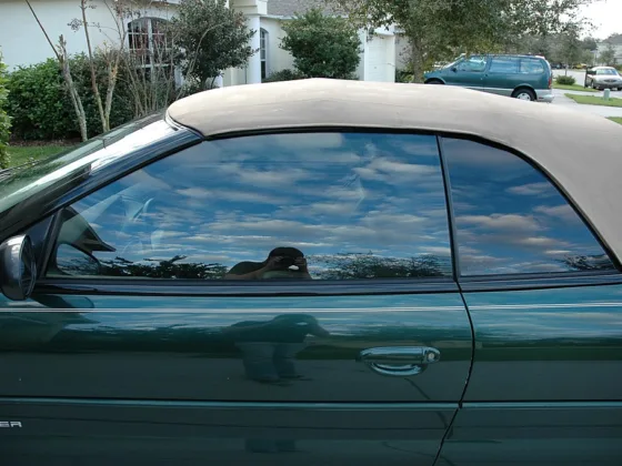 featured image - How Much Does Window Tinting Cost All Around