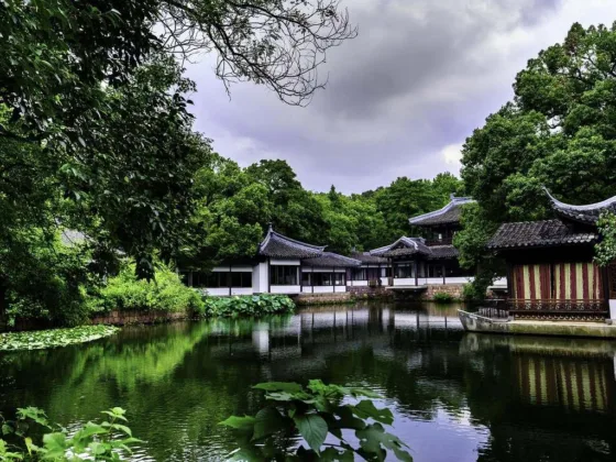 featured image - How a Nature-Surrounded Home Can Improve Your Overall Wellbeing