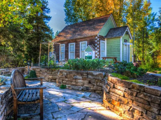 featured image - How to Prepare Your Colorado Landscape for Summer