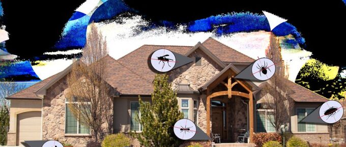 Keeping It Under Control: 3 Things to Look for In Pest Control