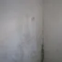 featured image - Mold in your Home’s Drywall