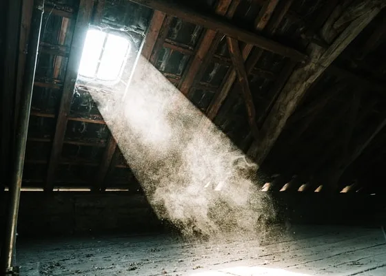 featured image - The Benefits of Vacuuming Your Home