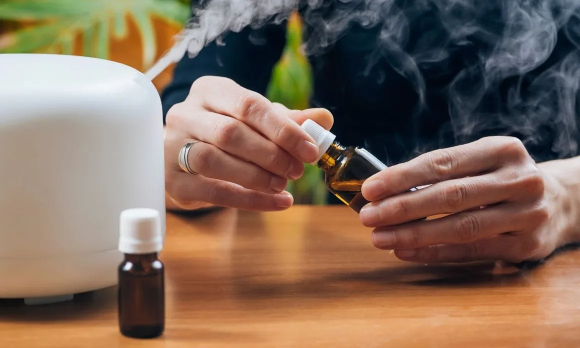 featured image - 9 Ways to Get Clean Air Without Using Chemicals