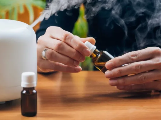 featured image - 9 Ways to Get Clean Air Without Using Chemicals