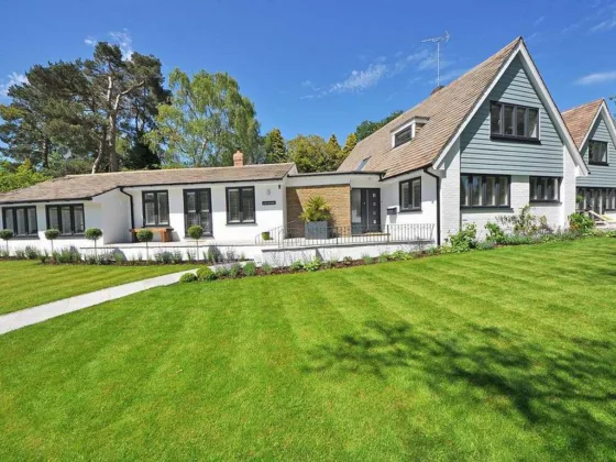 featured image - 7 Essential Tips for Maintaining a Gorgeous Lawn