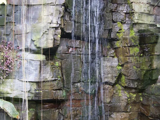 featured image - How Do Waterfall Fountains Complement Your Home Decor