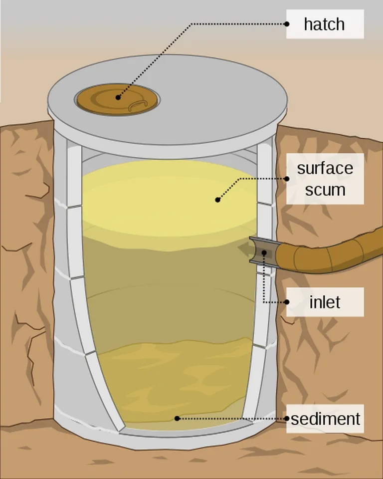 featured image - How to Choose the Best Cleaner for Septic Tank?