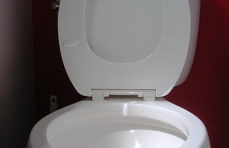 How to Keep Toilet Bowl Clean While on Vacation?