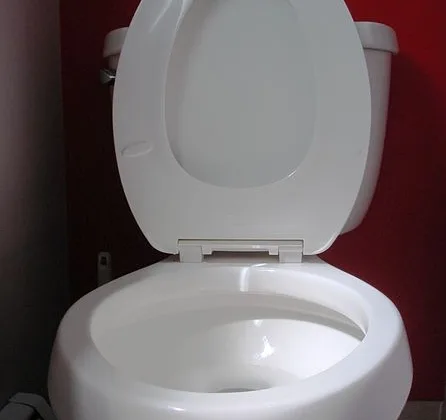 featured image - How to Keep Toilet Bowl Clean While on Vacation?