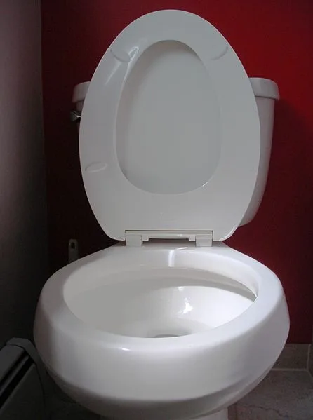featured image - How to Keep Toilet Bowl Clean While on Vacation?