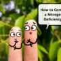 featured image - Nutrient Deficiency in Plants. How To Identify and Correct It