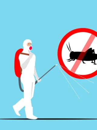 featured image - Useful Tips for Homeowners on Choosing a Pest Control Company