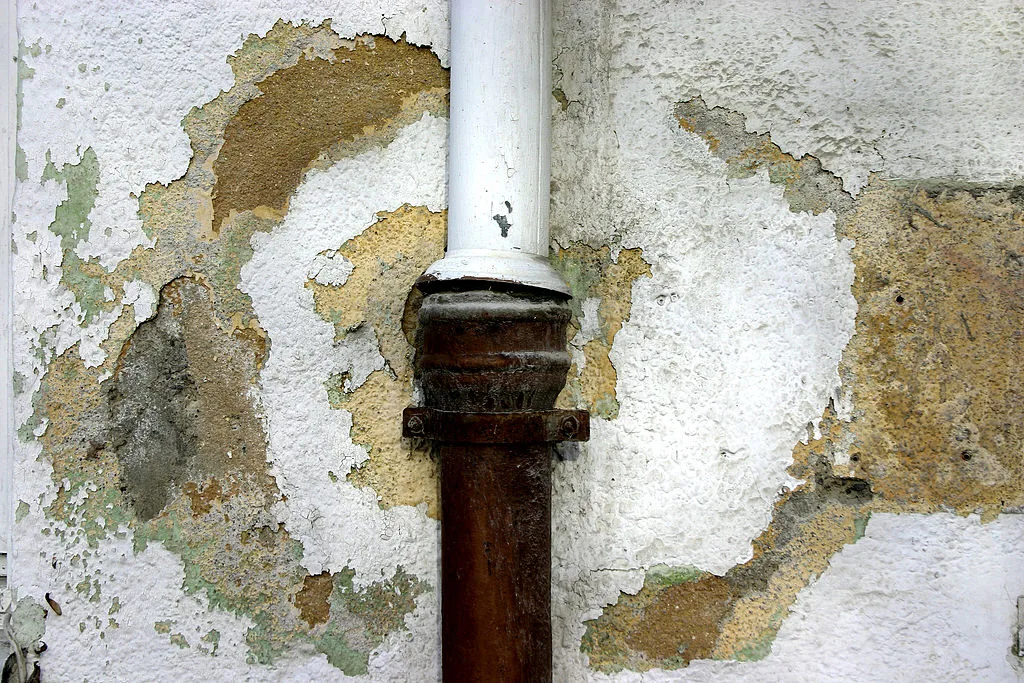 featured image - Why Hire Water Damage Repair Specialists
