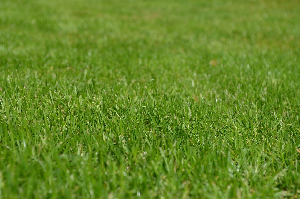 8 Tips For Making Your Yard More Appealing image - 8 Tips For Making Your Yard More Appealing