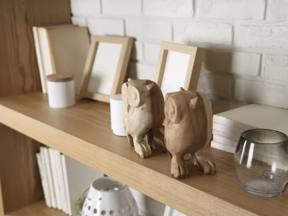 featured image - Things to know about Pine Shelves