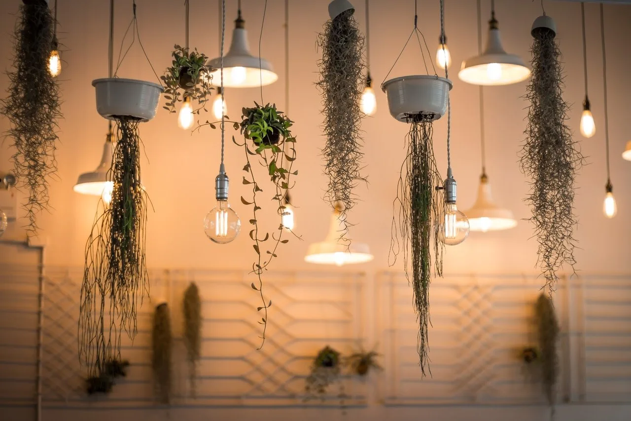 3 Indoor Lighting Ideas to Illuminate Every Room image - 3 Indoor Lighting Ideas to Illuminate Every Room